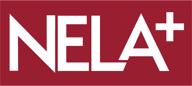 National Audit of Eating Disorders Logo